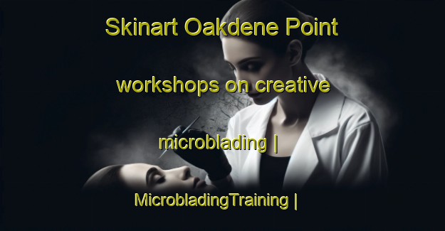 Skinart Oakdene Point workshops on creative microblading | MicrobladingTraining | MicrobladingClasses | SkinartTraining-Canada
